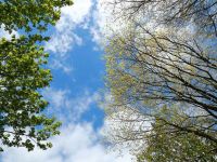 Der Himmel über Gladbeck