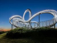 Tiger & Turtle