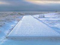 Erster Schnee in der Morgendämmerung