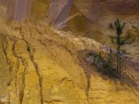 Ockerfelsen von Roussillon